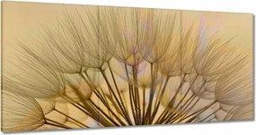 Vászonkép 180x90 Pitypang Virág Virágok