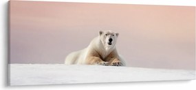 Kép - Jegesmedve (120x50 cm)