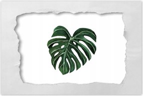 Poszterek 120x80 Monstera deliciosa Levél