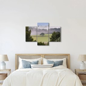 Egy kép a rétről egy fával (90x60 cm)