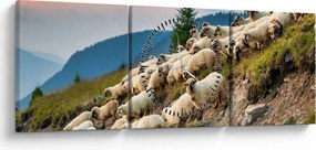 Kép - Egy nyáj birka (órával) (90x30 cm)