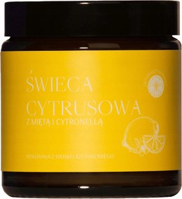MGlife Citrusos szúnyogriasztó illatgyertya mentával és citronellával 120 ml