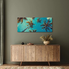 Kép - Magas pálmafák (120x50 cm)