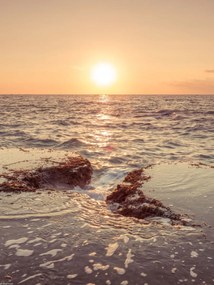 Poszter 30x40cm Naplemente a tengerparton, Assaf Frank