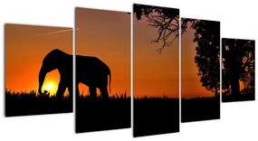Modern képek - állatok (150x70cm)
