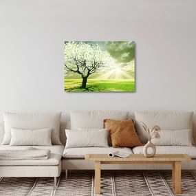 Virágzó fa képe (üvegen) (70x50 cm)
