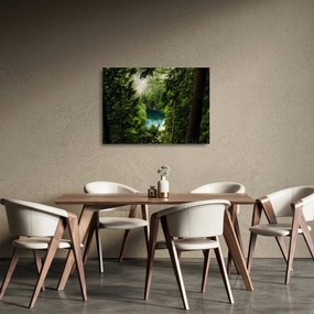 Kép - kilátás a fák között (üvegen) (70x50 cm)