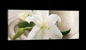 Vászonkép 145x45 Nyugalom zen harmónia relaxáció liliom virágok természet minimalizmus