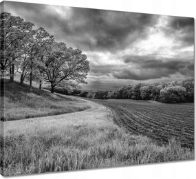 Vászonkép 50x40 Fekete-fehér mező