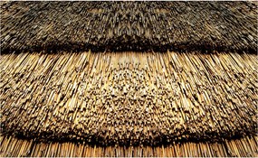 Fotótapéta Szalma tető rusztikus természetes habcsók 200x140 +ragasztó