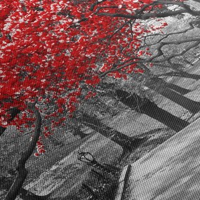 Kép - vörös fák,Central Park, New York (120x50 cm)