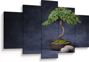 Kép - Bonsai (150x105 cm)