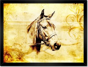 Poszterek keretben 40x30 Lófej