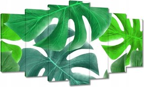 Vászonkép 140x80 Levelek Monstery Trópusok