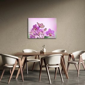 Kép - Pillangó orchidea virágon, lila (70x50 cm)