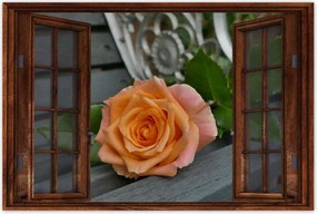 Poszterek 60x40 Rózsa Virág Virágok Rózsa