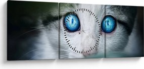 Macska képe (órával) (90x30 cm)
