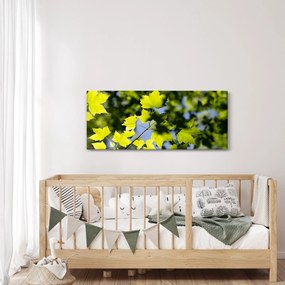 Kép - juhar levelek (120x50 cm)