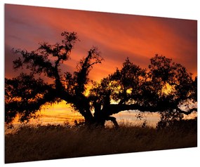 Romantikus fa képe (90x60 cm)