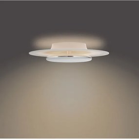 Philips- LED Dimmelhető mennyezeti lámpa GARNET SCENE SWITCH LED/30W/230V 2700K