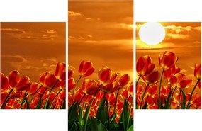 Kép egy virágzó mező tulipánokkal (90x60 cm)