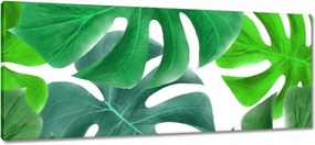 Vászonkép 100x40 Levelek Monstery Trópusok