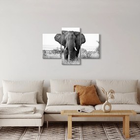 Kép - Afrikai elefánt II. (90x60 cm)