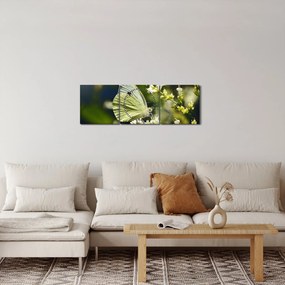 Pillangó képe (órával) (90x30 cm)