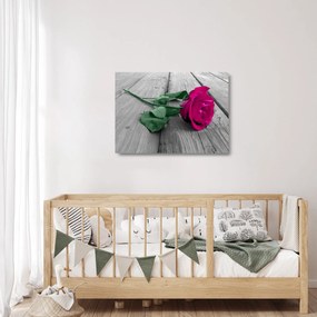 Üveg kép - Rózsaszín rózsa zöld szárral (70x50 cm)