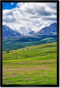 Poszterek keretben 40x60 Juh legeltetés Bárányok