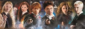 Harry Potter Contrast 1000 db-os panoráma puzzle Clementoni