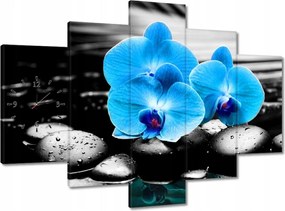 Órák 150x105 Kék orchidea