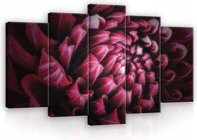 Vászonkép 100x60 Makro virág szirmok piros bordó textúra természet művészet