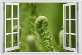 Poszter 60x40 Páfrányok Erdő Zöld levél