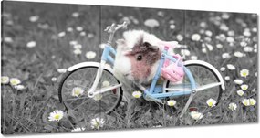 Vászonkép 60x30 Tengerimalac kerékpárral