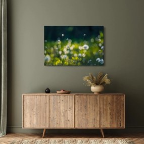 Kép - Fű (90x60 cm)