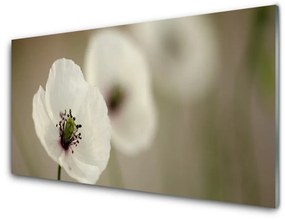 Modern üvegkép Természet virág növény 100x50 cm