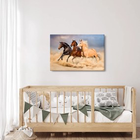 Kép - Vad lovak (90x60 cm)