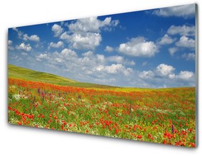 Akrilkép Virág rét táj 125x50 cm