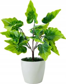 Mű Alokázia Fa, Virág Cserépben, Növény Irodába, Levelek 37 cm