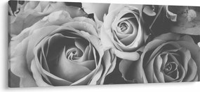 Kép - Rózsa, fekete-fehér (120x50 cm)