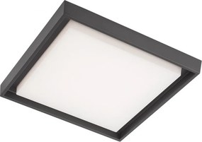 REDO 9190 BEZEL Modern Kültéri Mennyezeti Lámpa LED IP54
