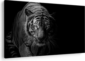 Egy vadtigris képe (90x60 cm)