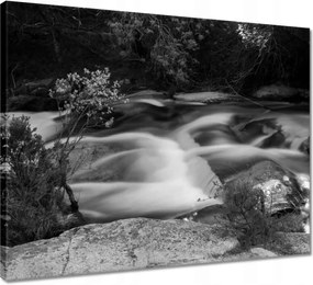 Vászonkép 50x40 Hosszú folyó az erdőben