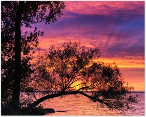 Poszterek 50x40 Tó Fa Nyugat