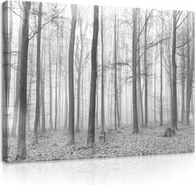 Vászonkép 100x75 Erdő a ködben Téli erdő Őszi erdő Ködös erdő