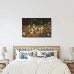 Kép - Gyapotfűvel borított rét N⁰2 (90x60 cm)