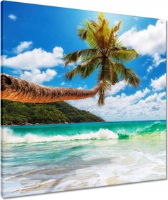 Vászonkép 60x60 Paradicsomi tengerpart pálmafákkal