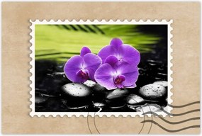 Poszterek 60x40 Orchideák a köveken