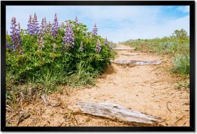 Poszterek keretben 60x40 Lépcsők Virágok Rét